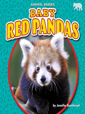 cover image of Baby Red Pandas